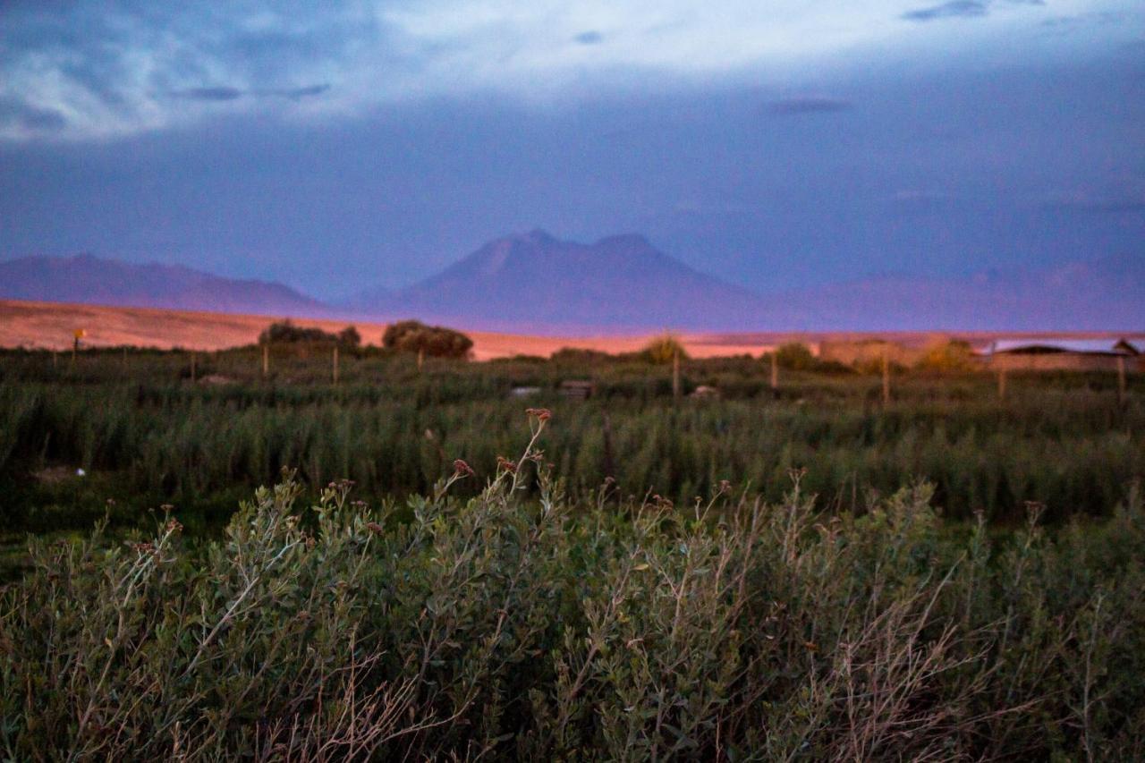 Sol Del Desierto Villa Chiuchiu Eksteriør billede